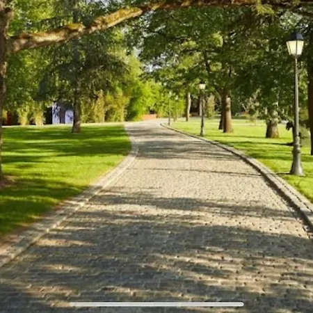 Διαμέρισμα Dependance De 45m2 A Louer *