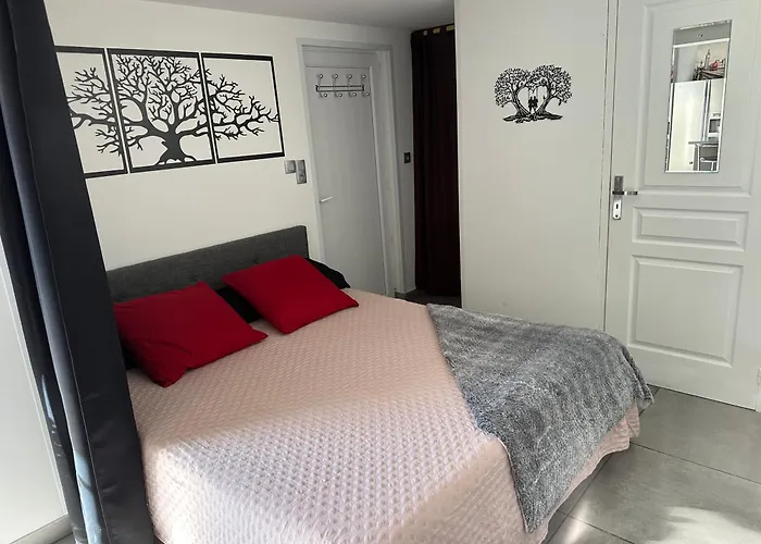 Lejlighed Dependance De 45m2 A Louer Saint-Vite